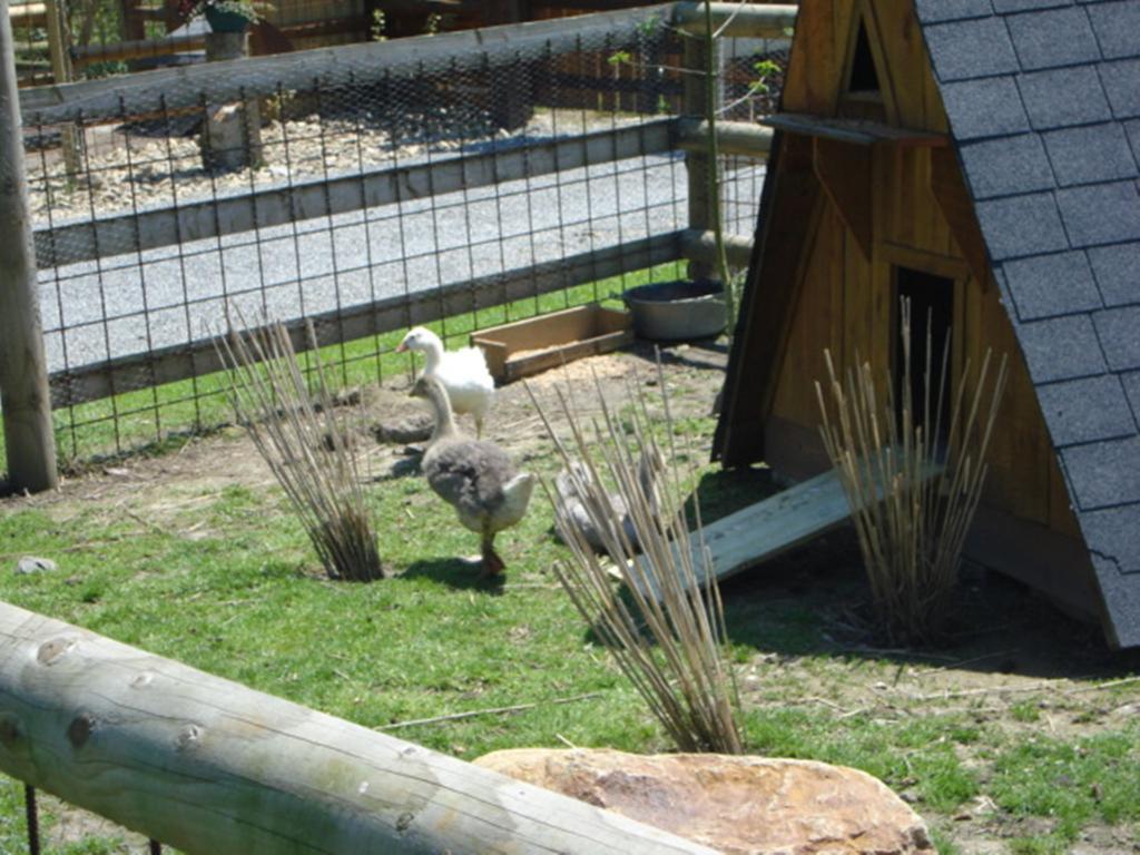 Camping Saint Michel Courtils Luaran gambar